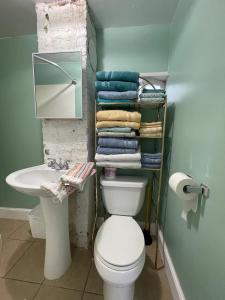 HighlandsLittle Haven的浴室配有卫生间、水槽和毛巾。