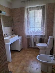 PoggioLa Cerreta Affittacamere的一间带水槽和卫生间的浴室以及窗户。