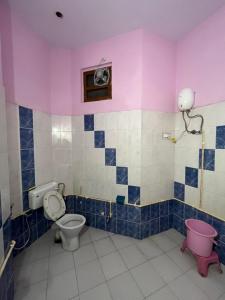 阿尔瓦尔Travel curiosity Homestay的一间带卫生间和水槽的浴室
