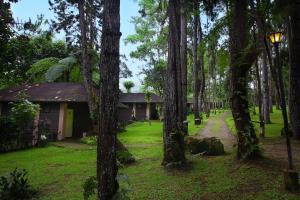 达沃市Eden Nature Park and Resort的树林中间的房子