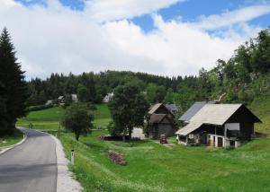 班斯卡比斯特里察Tourist Farm Pr' Maretč的山坡上的道路房屋