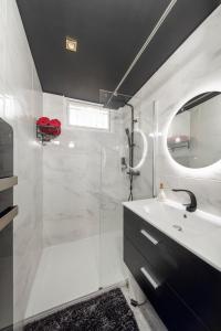 图卢兹Secret Night II的带淋浴、盥洗盆和镜子的浴室