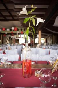 沙萨尼卡里布餐厅酒店的相册照片