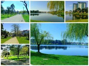 巴统艾菲尔酒店的公园和湖泊照片的拼合