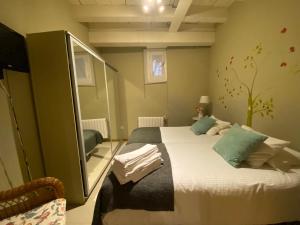塞哥维亚利菲托勒丽尔公寓酒店的一间卧室配有一张带镜子的大床