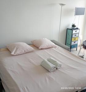 比亚里茨AGTBAB的一张白色的床,上面有两个枕头