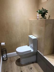 帕尔Kortrijk Paarl Self Catering的浴室配有白色卫生间和植物