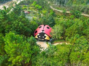 Cao PhongMEDDOM Park的森林中女虫帐篷的空中景观