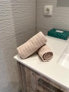 弗利辛恩B&B Badhuis的浴室内一个柜台上的毛巾