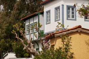 毕达哥利翁德里萨海滨度假酒店的蓝白窗和树屋
