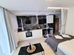 米兹多洛杰Baltic Soul Villa的带两张床、一张桌子和厨房的房间