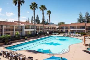 圣克拉拉圣克拉拉万豪酒店 的棕榈树酒店游泳池的形象