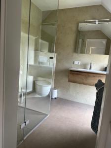 BorgercompagniebyTilch的一间带水槽、卫生间和镜子的浴室
