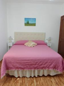 蒙特圣萨维诺dalla CARLA in Toscana的一间卧室配有一张带粉红色床罩的床