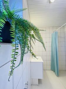 腓特烈港aday - Greenway 2 bedrooms apartment的绿色植物,浴室里