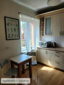 瓦古夫LuLu Apartamento Centro的厨房配有桌椅和微波炉。