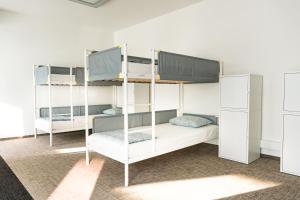 布拉迪斯拉发Wild Elephants Hostel的双层床间 - 带两张双层床