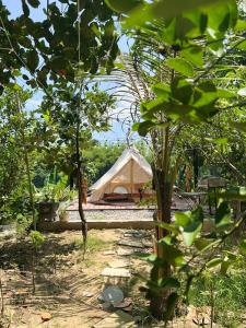 Tân PhúLittlefarm - Nam Cat Tien的树木林立的帐篷