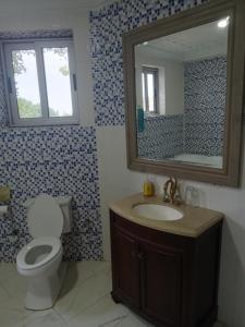 博博迪乌拉Oasis Lawafossi的一间带卫生间、水槽和镜子的浴室
