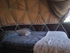 卢汉德库约Glamping Mendoza的帐篷内的一张床位,配有枕头和毯子