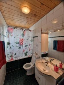 伊瑟尔特瓦尔德费雷拉公寓酒店的一间带卫生间和水槽的浴室