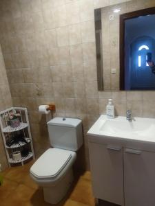 佩德罗佐Apartamentos turísticos Lemos的一间带卫生间、水槽和镜子的浴室
