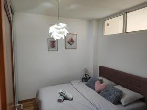 萨拉热窝Bulevar apartment & Free Garage的一间卧室配有一张床和一个吊灯