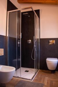 巴尔齐奥Garni Le Grigne的带淋浴、卫生间和盥洗盆的浴室