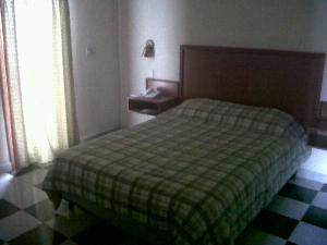 特古西加尔巴河景公寓式酒店的一间卧室配有一张带绿色布艺毯子的床