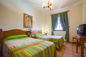 洛思坎加约斯圣安东尼奥绿洲公寓的酒店客房设有两张床和电视。