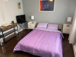 费德勒尔韦Shared Space with Private room in Beautiful Lakefront Apartment的一间卧室配有一张紫色的床和一张书桌