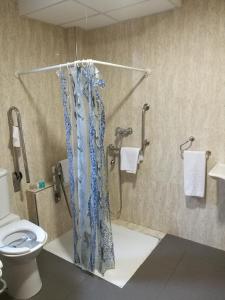 库列拉埃尔法罗公寓式酒店的带淋浴、卫生间和毛巾的浴室