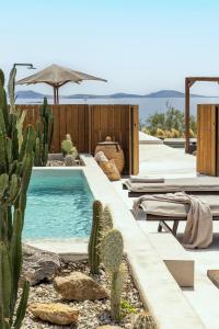圣斯特凡诺斯Rocabella Mykonos Hotel的一个带仙人掌的院子内的游泳池