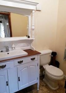 伍德哈尔温泉水疗Poplar Cottage的一间带卫生间、水槽和镜子的浴室