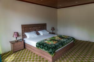锡卡都Greenwood Resort Skardu的一间卧室配有一张床,床头柜配有两盏灯