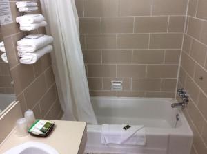 莱昂汽车旅馆的一间浴室