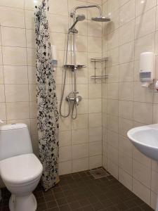 塔林Aquamarine Hotel - Lauluväljak的带淋浴、卫生间和盥洗盆的浴室