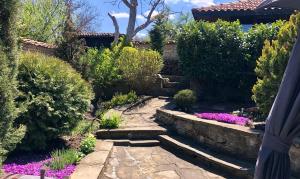 MedvenПопската къща-възрожденски дух и съвременни удобства的一座带石头小径和紫色花卉的花园