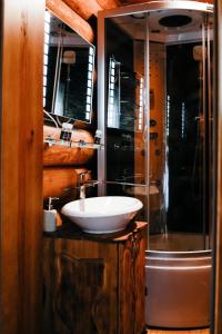 穆卡切沃Ray Eco Resort的一间带水槽和淋浴的浴室
