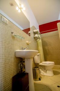 阿亚库乔阿亚库乔维亚维亚咖啡酒店的一间带水槽和卫生间的浴室