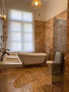 塔林Aquamarine Hotel - Lauluväljak的带浴缸、卫生间和盥洗盆的浴室