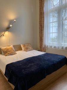 塔林Aquamarine Hotel - Lauluväljak的一间卧室配有一张带蓝色毯子的大床
