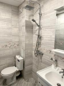 鲁塞Budget Luxury Apartment - Absolutely New Building!的浴室配有卫生间、淋浴和盥洗盆。