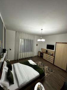 锡比乌Borkum的一间卧室配有一张大床和电视