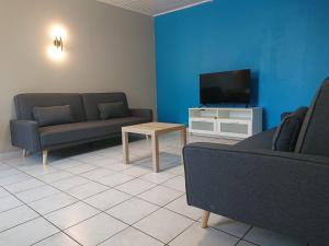 波尔多chambre privée à BORDEAUX PELLEGRIN的带沙发、电视和桌子的客厅