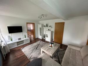 Ferienwohnung, Apartment, Monteurwohnung mit Klimaanlage Wettin - Löbejün的带沙发和电视的客厅