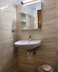 马斯蒂查里HOTEL ARANT的一间带水槽和镜子的浴室