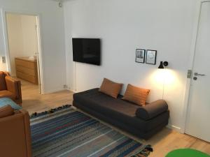 奥尔堡Astas Apartment的带沙发和平面电视的客厅