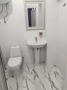 切尔诺夫策Mirage的白色的浴室设有水槽和卫生间。
