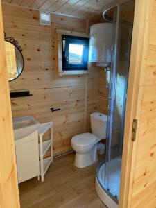 博格泽利卡Toscana Camp的一间带卫生间和淋浴的小浴室